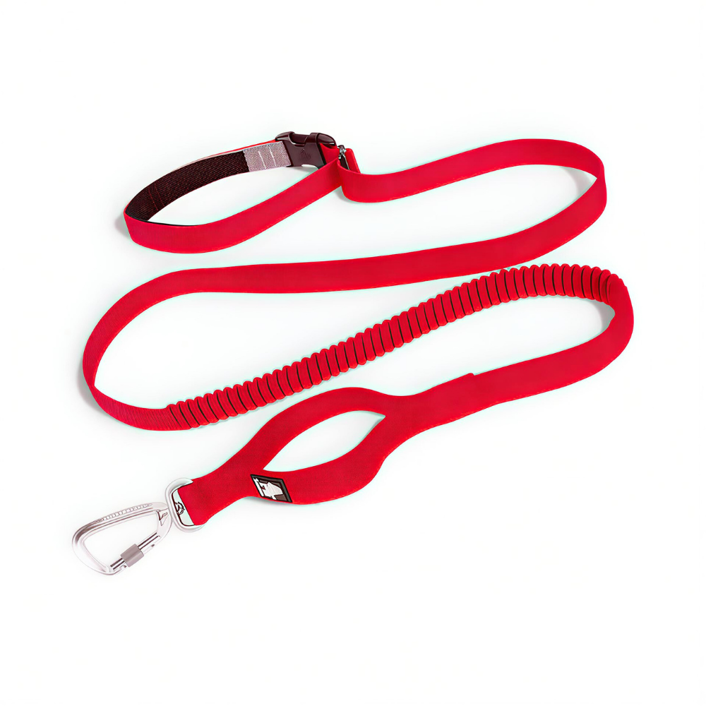 Freihändige Bungee-Hundeleine – Mehr Freiheit & weniger Zug unterwegs