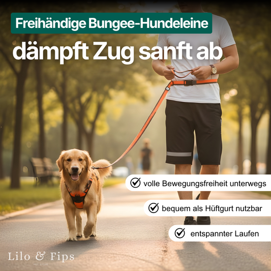 Freihändige Bungee-Hundeleine – Mehr Freiheit & weniger Zug unterwegs
