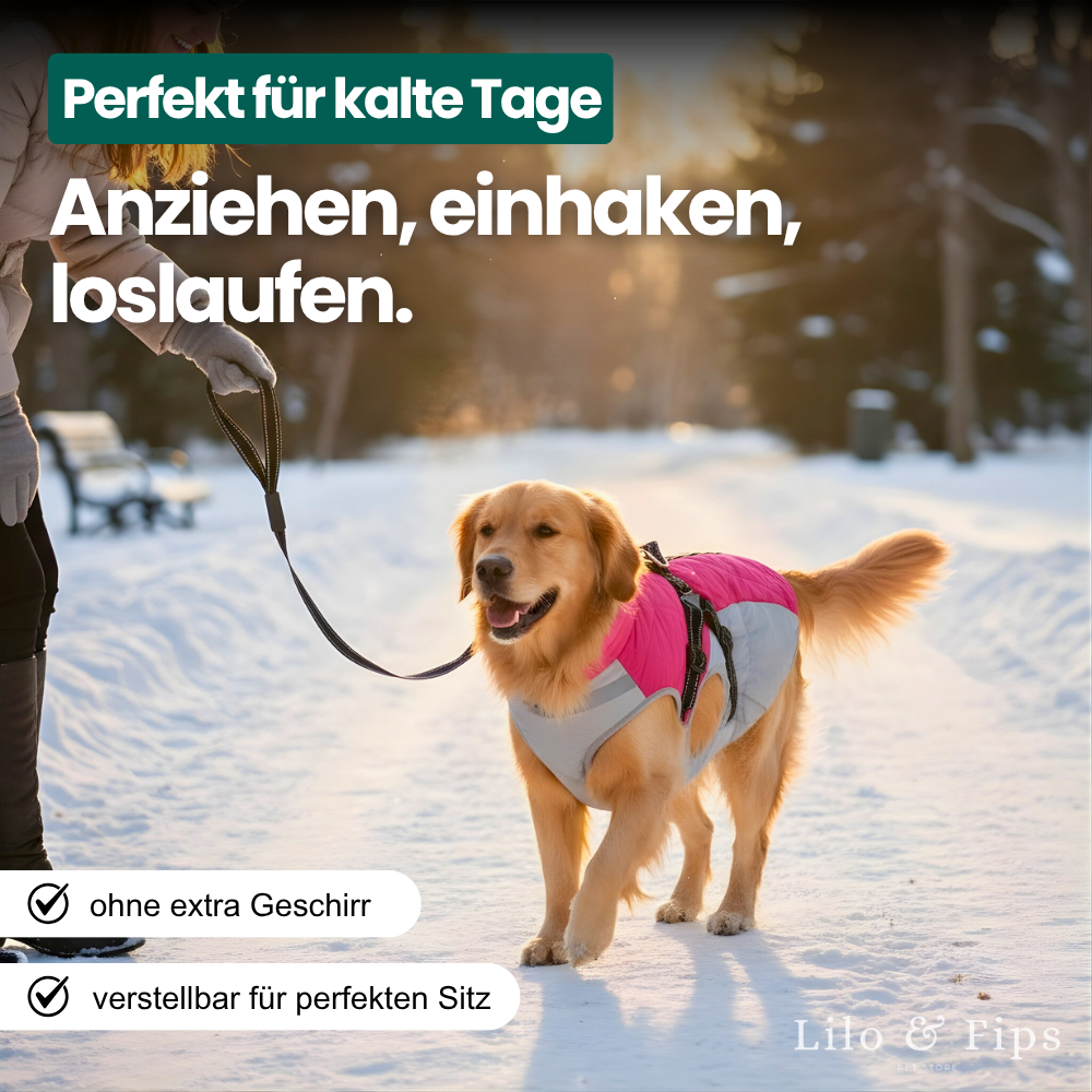 2-in-1 Hundejacke mit Geschirr – Trocken, warm & in Sekunden startklar