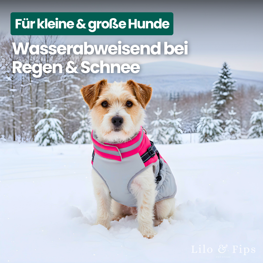 2-in-1 Hundejacke mit Geschirr – Trocken, warm & in Sekunden startklar