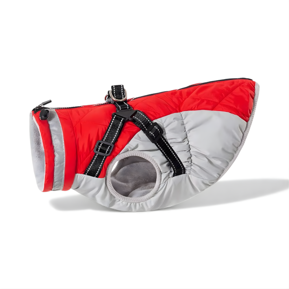 2-in-1 Hundejacke mit Geschirr – Trocken, warm & in Sekunden startklar